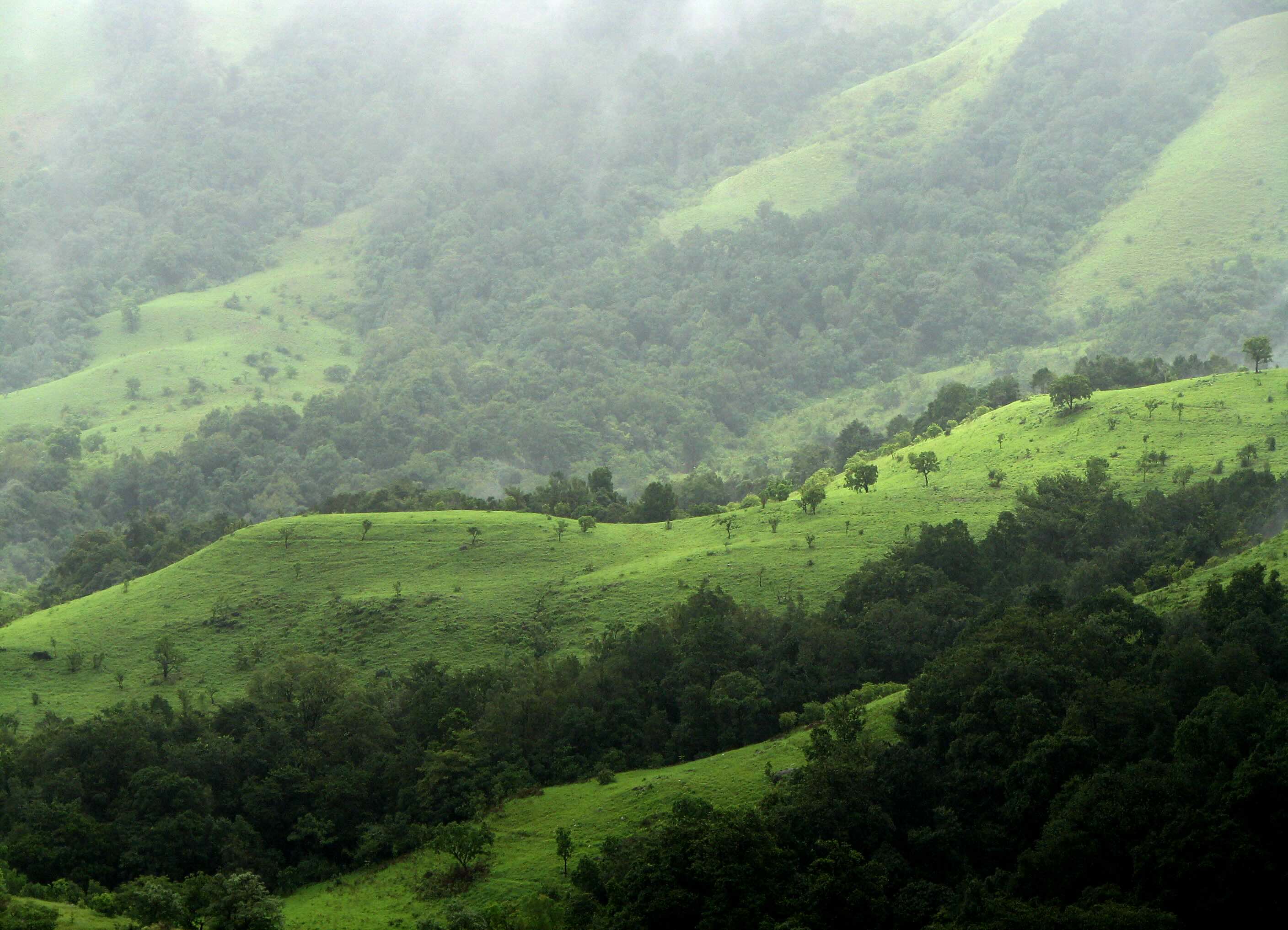 Kudremukh National Park