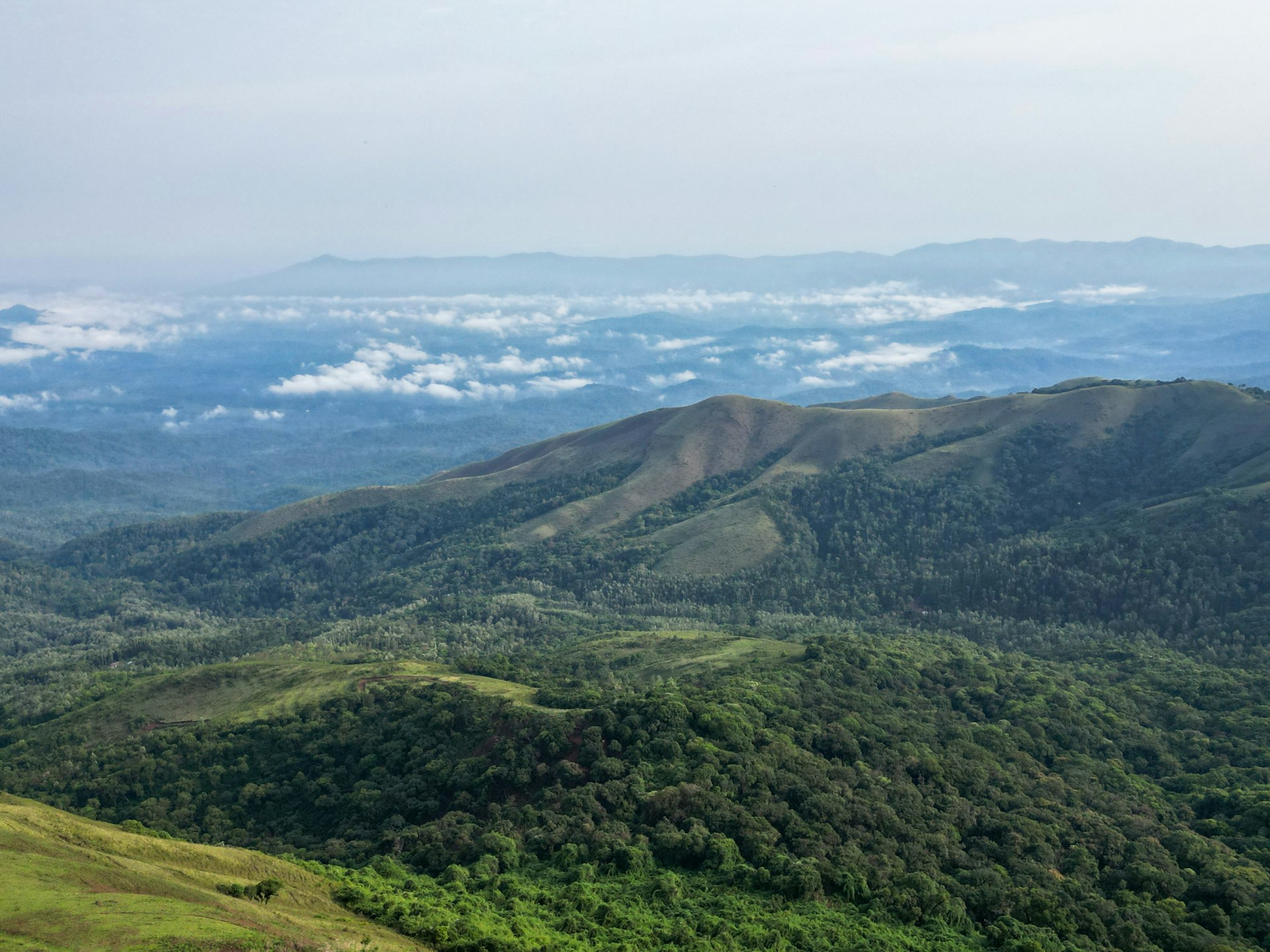 Mullayanagiri Peak